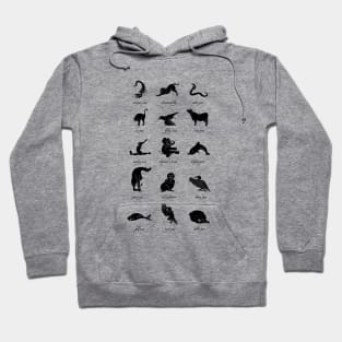 Animal Yogis_Black Hoodie